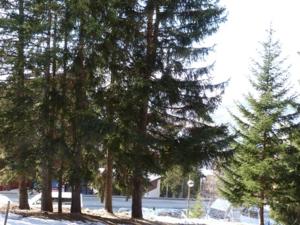Studio Les Arcs 1800, 1 pièce, 5 personnes - FR-1-411-209