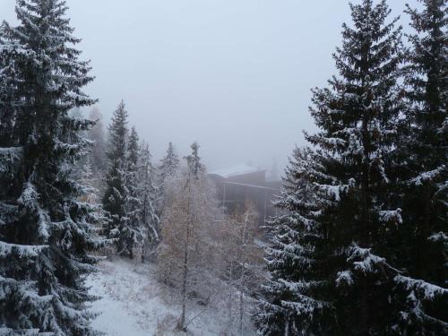 Studio Les Arcs 1800, 1 pièce, 5 personnes - FR-1-411-220