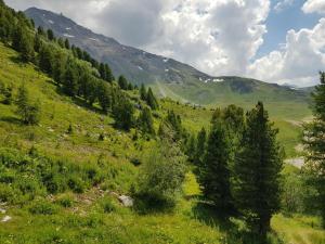 Studio Les Arcs 2000, 1 pièce, 5 personnes - FR-1-411-733