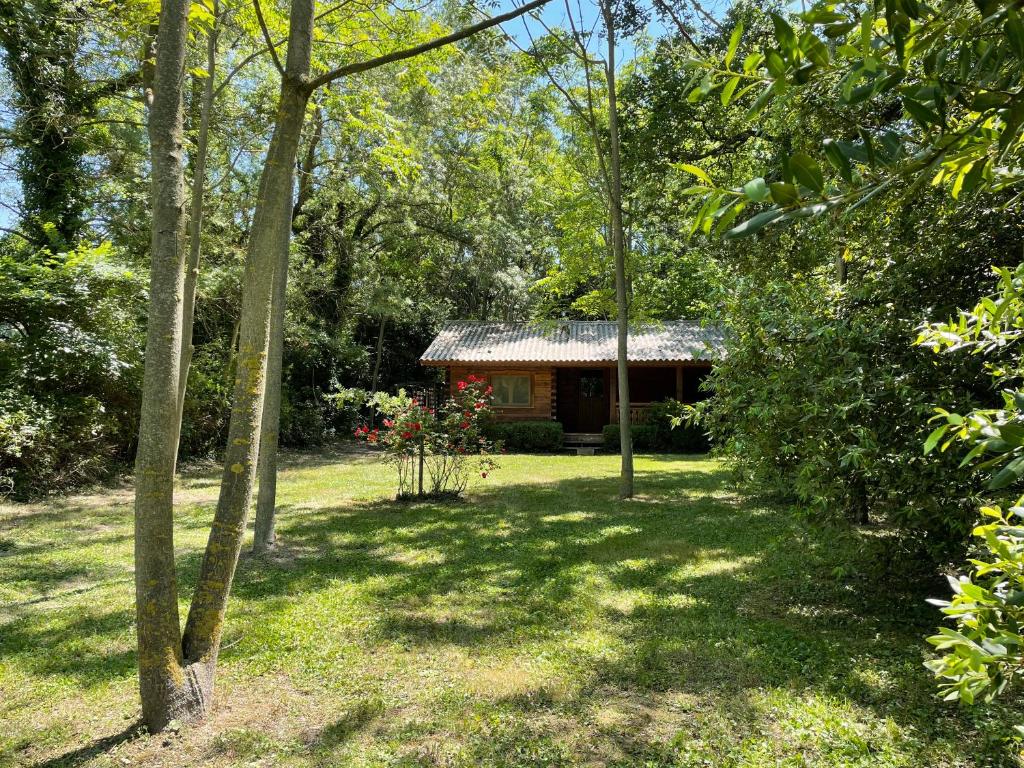 Studio Les Arcs 2000, 2 pièces, 4 personnes - FR-1-346-460