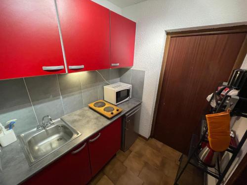 Studio Les Carroz d'Arâches, 1 pièce, 4 personnes - FR-1-572-172