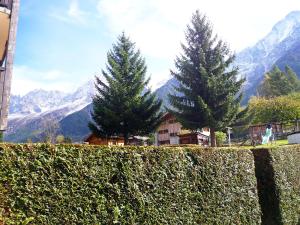 Studio Les Chamois