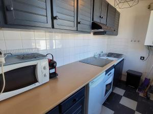 Studio Les Deux Alpes, 1 pièce, 4 personnes - FR-1-516-187