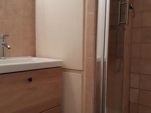 Studio Les Deux Alpes, 1 pièce, 4 personnes - FR-1-516-190