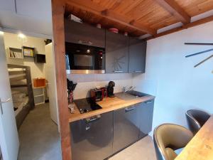 Studio Les Deux Alpes, 1 pièce, 4 personnes - FR-1-516-199