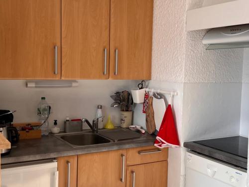 Studio Les Deux Alpes, 1 pièce, 4 personnes - FR-1-516-201