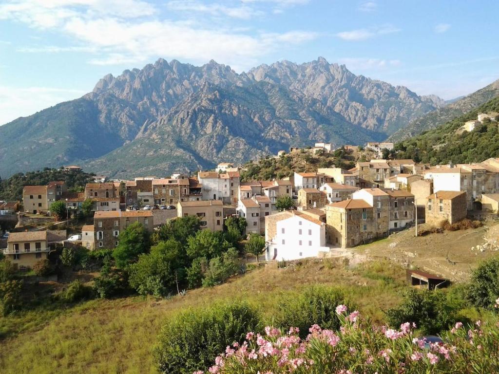 Studio Les Deux Alpes, 1 pièce, 5 personnes - FR-1-516-47 38860 Les Deux Alpes