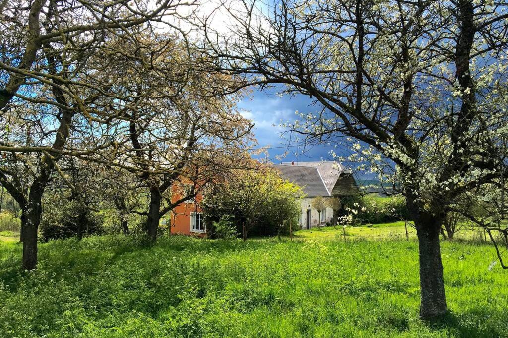 Studio Les Menuires, 1 pièce, 2 personnes - FR-1-452-115 73440 Les Menuires