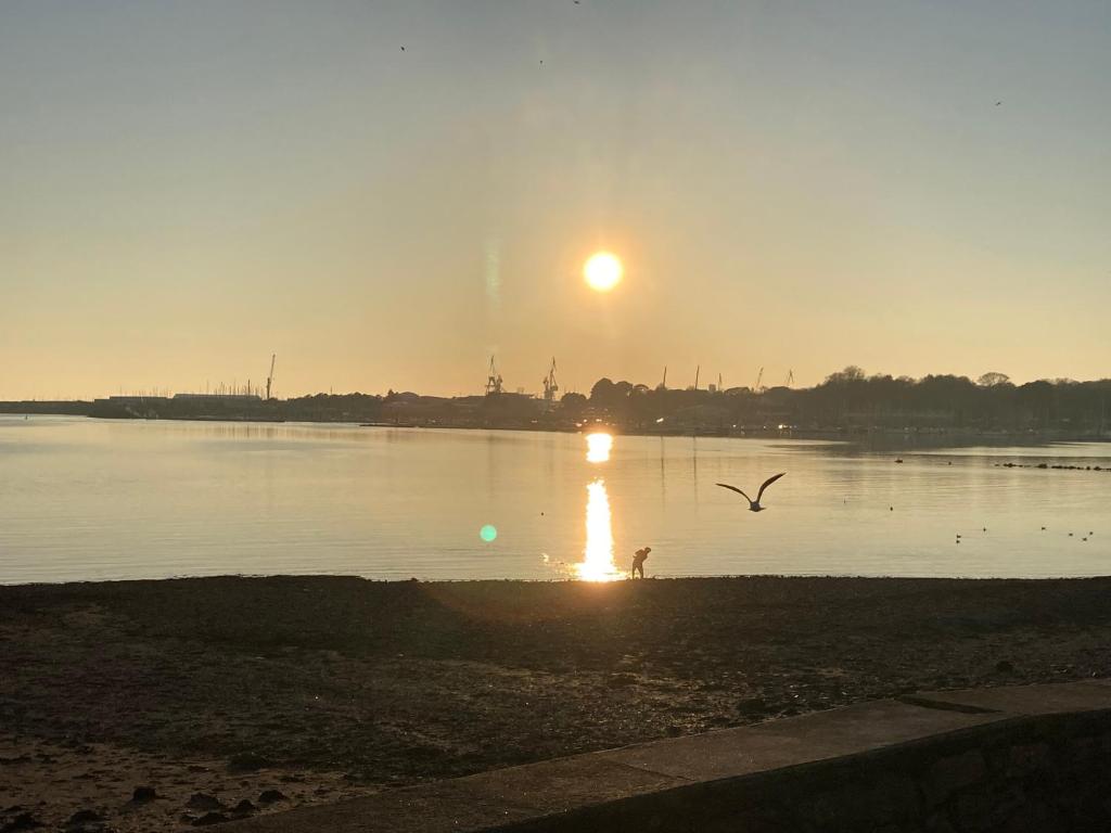 Studio les pieds dans l'eau - plage à proximité 5 Boulevard Léopold Maissin, 29480 Le Relecq-Kerhuon