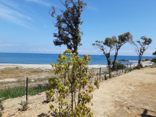 Studio les pieds dans l'eau vue sur mer