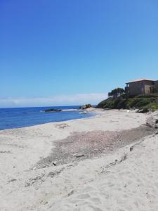 Appartement Studio les pieds dans l'eau vue sur mer résidence marina di bravone 20230 Linguizzetta Corse