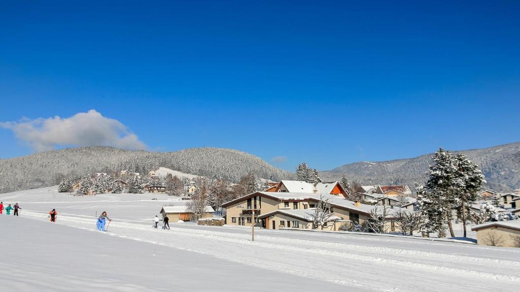 Studio Les Saisies, 1 pièce, 4 personnes - FR-1-293-172 73620 Les Saisies