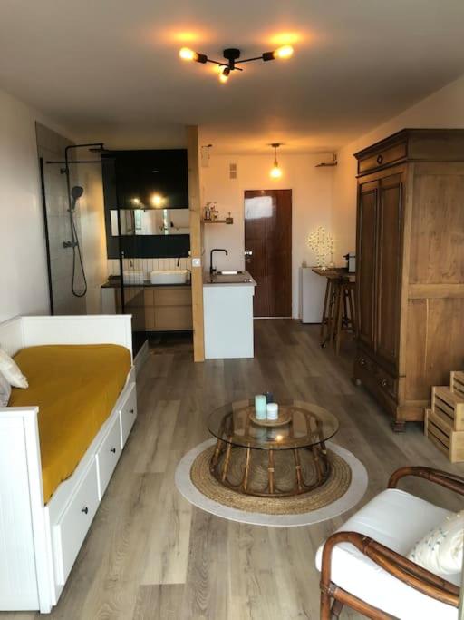 Appartement Studio / Loft vue sur la Vallée du Cher Bâtiment Chaumont 9 Avenue Eltville 41400 Montrichard