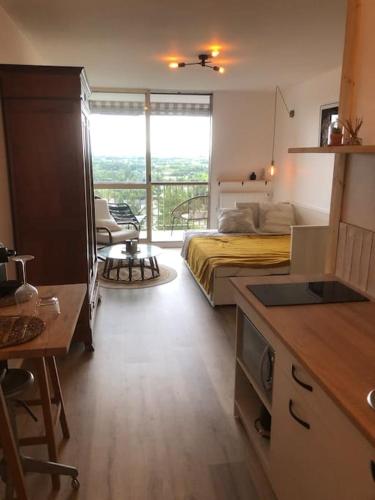 Studio / Loft vue sur la Vallée du Cher