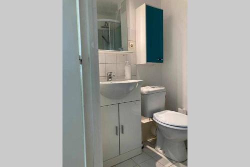 Appartement Studio Lora RM 1184L 118 Rue de Mulhouse 68300 Saint-Louis Alsace