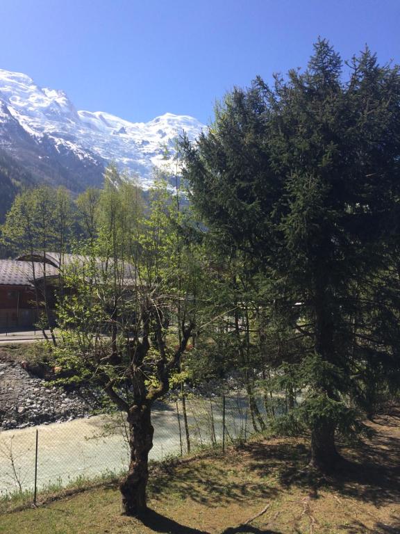 Appartement Studio lumineux avec vue sur le massif du Mont-Blanc 555 route Couttet Champion 74400 Chamonix-Mont-Blanc