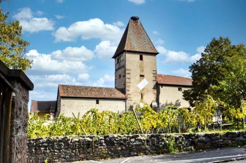 Studio lumineux en rez-de-jardin situé sur la route des vins d'Alsace
