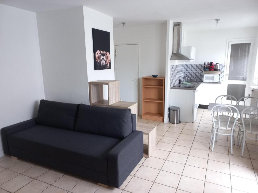 Appartement Studio Lumineux Saint-Étienne Bellevue 9 Rue Robespierre 42100 Saint Etienne