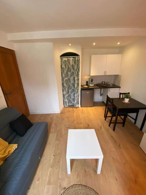 Appartement Studio Maiana Cosy et Chaleureux 20 Rue Jean Réveil 64000 Pau