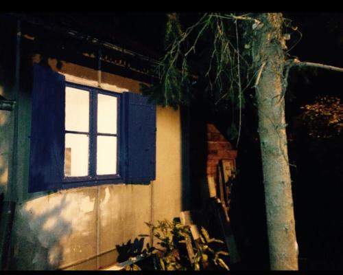 studio maison jardin métro
