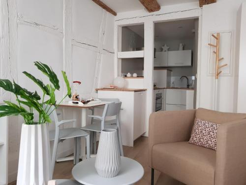 Studio Maison Verte Colmar Centre