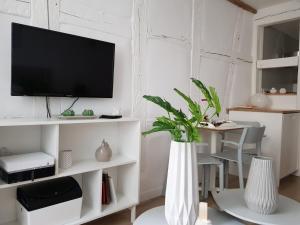 Appartement Studio Maison Verte Colmar Centre 10 rue de la Porte Neuve 68000 Colmar Alsace