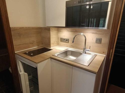 Studio Megève, 1 pièce, 3 personnes - FR-1-453-116