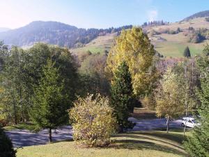 Studio Megève, 1 pièce, 3 personnes - FR-1-453-116