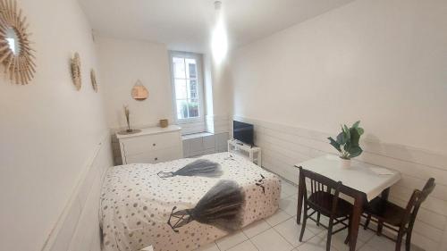 STUDIO MEUBLÉ AU PIED DU CHATEAU