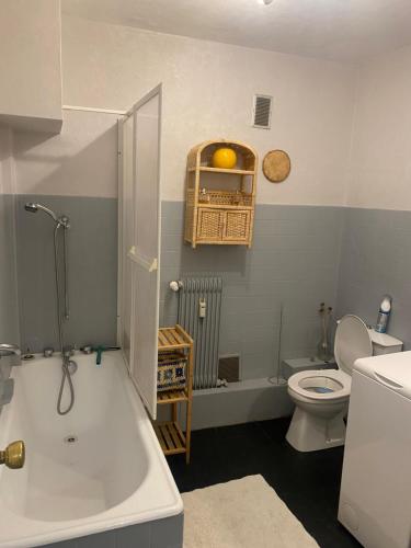 Studio meuble hyper centre proche gare