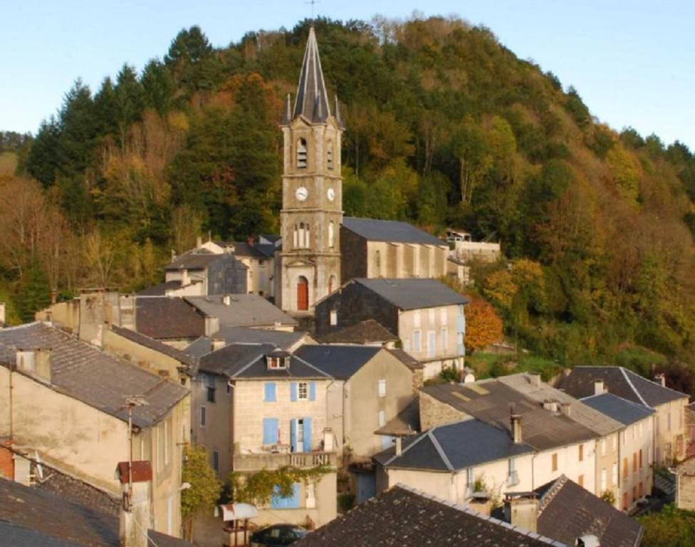 Studio meublé Viane Impasse du Gijou, 81530 Viane