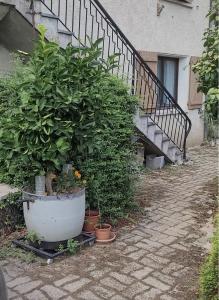 Studio meublé Viane