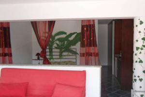 studio Mira