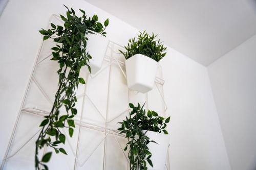 Studio moderne refait à neuf avec balcon