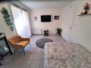 Studio Moderne Terrasse Piscine