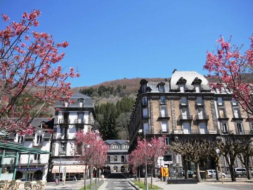 Studio Mont-Dore, 1 pièce, 4 personnes - FR-1-608-148
