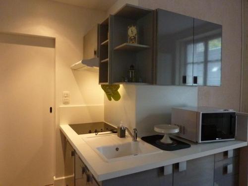 Studio Mont-Dore, 1 pièce, 4 personnes - FR-1-608-184