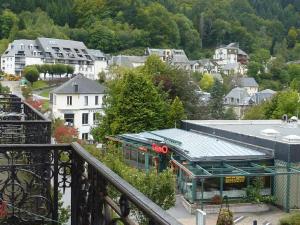 Studio Mont-Dore, 1 pièce, 4 personnes - FR-1-608-38