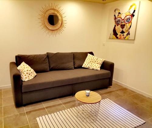 Studio Montpellier écusson