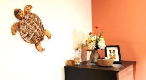 studio N°5
