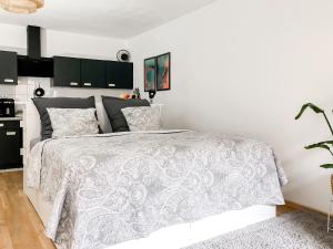 Studio near Altstadt /w Workspace, Feng-Shui & Art