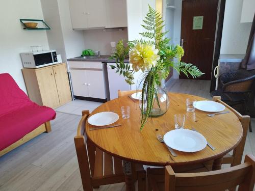 Studio Orcières Merlette, 1 pièce, 4 personnes - FR-1-262-84