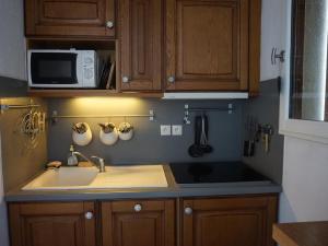 Studio Orcières Merlette, 1 pièce, 4 personnes - FR-1-636-152