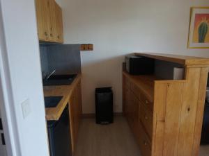 Studio Orcières Merlette, 1 pièce, 4 personnes - FR-1-636-211