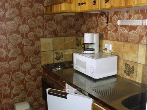 Studio Orcières Merlette, 1 pièce, 4 personnes - FR-1-636-81