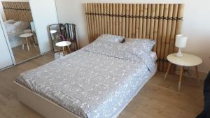 Studio Palavas proche plage