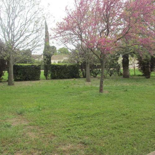 Studio Pont de Crau