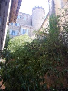 studio pour amoureux de la nature