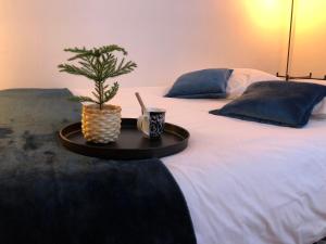Studio proche centre-ville
