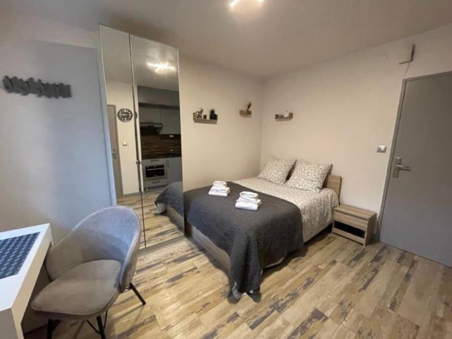 Appartement Studio proche frontière Bâle 47 Rue du Docteur Marcel Hurst 68300 Saint-Louis